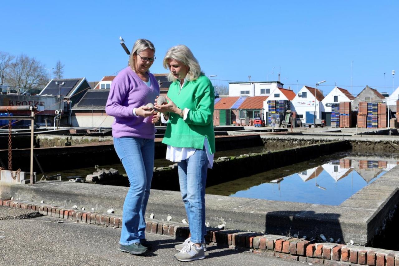 Vakantiewoning T Uusje Wemeldinge Kültér fotó